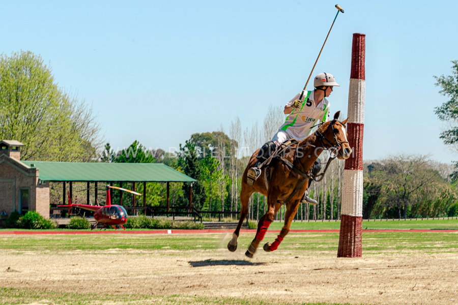 Helicopter tour and polo experience